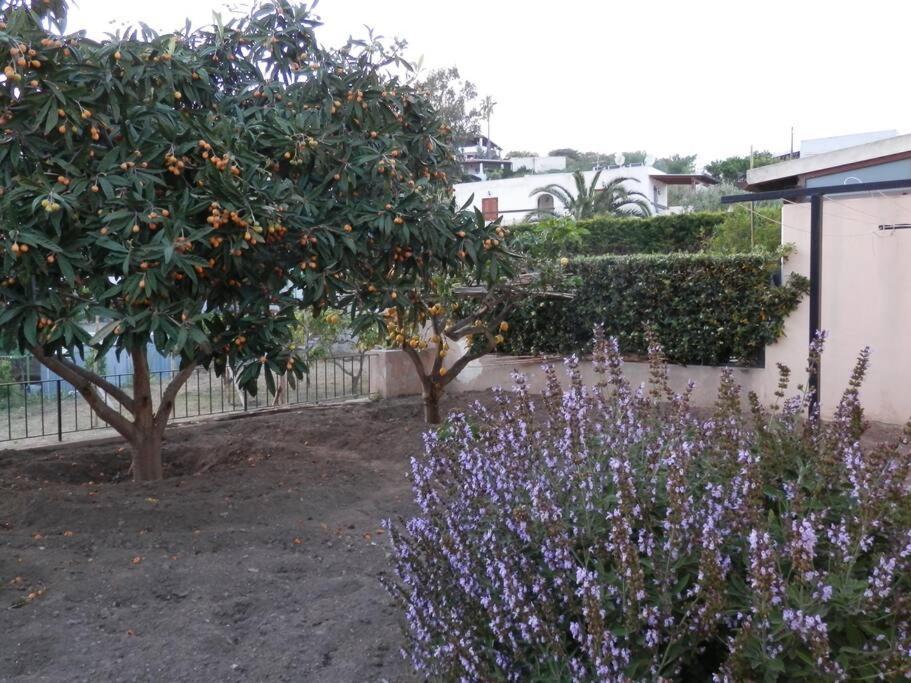 Casa Catalogna , Vicino Al Centro Storico. Lipari (Isola Lipari) Exterior foto